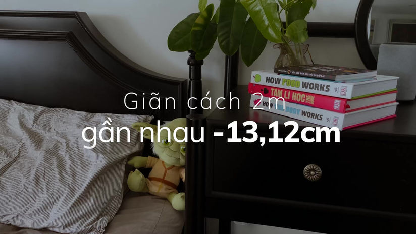 Vua Nệm